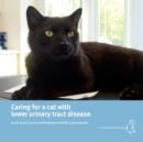 Image for Caring for a Cat with Lower Urinary Tract Disease