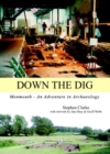 Image for Down the Dig