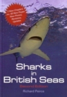 Image for Sharks in British Seas