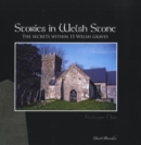 Image for Stories in Welsh Stone : The Secrets within 15 Welsh Graves