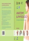 Image for Anatomy &amp; physiology: for beauty and complementary therapies