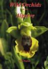 Image for Wild Orchids in the Algarve