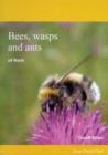 Image for Bees, Wasps and Ants of Kent