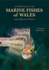 Image for A Field Guide to the Marine Fishes of Wales and Adjacent Waters