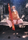 Image for Dandi Swami : The Story of the Guru&#39;s Will, Maharishi Mahesh Yogi, the Shankaracharyas of Jyotir Math, &amp; Meetings with Dandi Swami Narayananand Saraswati.