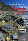 Image for Fossils and Rocks of the Jurassic Coast