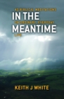 Image for In the meantime  : 40 biblical meditatins on ordinary, everyday life