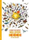 Image for The what on Earth? wallbook from the Big Bang to the present day