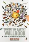 Image for The What on Earth? Wallbook of Big History