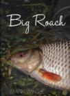 Image for Big Roach