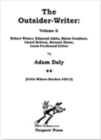 Image for The outsider-writer 2