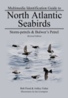 Image for Storm-petrels &amp; Bulwer&#39;s Petrel: North Atlantic Seabirds