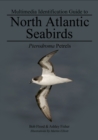 Image for Pterodroma Petrels: North Atlantic Seabirds