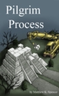 Image for Pilgrim Process