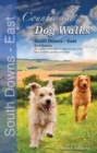 Image for Countryside dog walks: South Downs - East