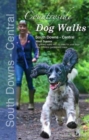 Image for Countryside dog walks: South Downs - Central