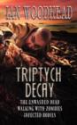 Image for Triptych Decay