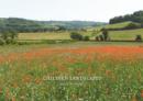 Image for Chiltern Landscapes (Large Edition)