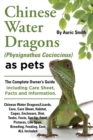 Image for Chinese water dragons (physignathus cocincinus) as pets  : Chinese water dragons/lizards care, care sheet, habitat, cages, enclosure, diet, tanks, facts, set up, food, names, pictures, info, shedding