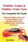 Image for Fiddler Crabs &amp; Fiddler Crab Care. Complete Pet Guide. What do fiddler crabs eat? Includes habitat, facts, aquarium tank setup, molting, food, personality &amp; pictures