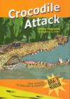 Image for Crocodile Attack