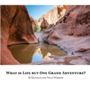 Image for What is Life but One Grand Adventure?