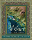 Image for Realm of Spirit: The Connected Be-ing