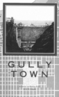 Image for Gully Town: A Novel of Kansas City