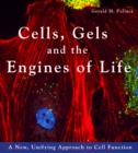 Image for Cells, Gels &amp; the Engines of Life : A New Unifying Approach to Cell Function