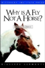 Image for Why Is a Fly Not a Horse?