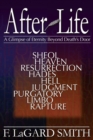 Image for After Life : A Glimpse of Eternity Beyond Death&#39;s Door