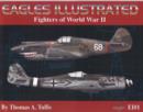 Image for Fighters of World War II