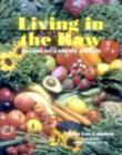 Image for Living in the raw  : recipes for a healthy lifestyle