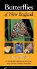 Image for Butterflies of New England