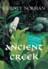 Image for Ancient Creek