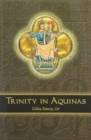 Image for Trinity In Aquinas