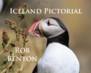 Image for Iceland Pictorial