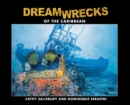 Image for DreamWrecks of the Caribbean : Diving the best shipwrecks of the region