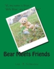 Image for Bear Meets Friends