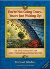Image for You&#39;re Not Going Crazy...You&#39;re Just Waking Up!: The Five Stages of Soul Transformation Process