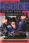 Image for Blood Moon&#39;s Guide To Gay And Lesbian Film