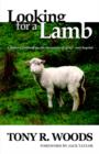 Image for Looking for a Lamb