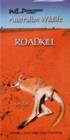 Image for Australian wildlife  : roadkill