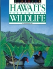 Image for Discover Hawaii&#39;s Freshwater Wildlife