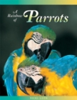 Image for A Rainbow of Parrots
