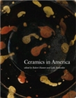 Image for Ceramics in America 2010