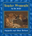 Image for Tender Moments in the Wild : Animals and Their Babies