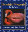 Image for Beautiful Moments in the Wild : Animals and Their Colors
