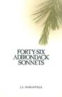 Image for Forty-six Adirondack Sonnets