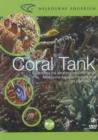 Image for Coral Tank : Experience the Amazing Colourful Fish of Melbourne Aquarium&#39;s Coral Tank on Your Own TV